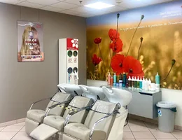 Saint Algue - Coiffeur Cusset