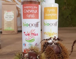 Biocoiff' - Coiffeur Bio Rouen et Colorations Végétales