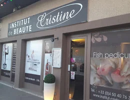 Institut CRISTINE