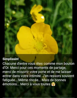 Photo Simplissim' Esthétique et Massages