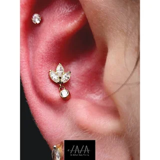 Photo Be BaRocK Body Piercing (Zaza)